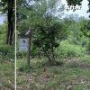 Lynbrook Hollow 2023 before and after
