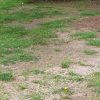 Cordaville Triangle pic (contributed by John Kendall)
