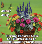 "Flying Flower Cafe" from Bemis Farms Nursery's workshop flyer