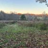 Nov 3 2025 at Beals Preserve from Chonolog
