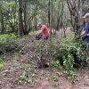 maintaining SOLF trails