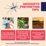 mosquito prevention tips from Southborough Fire Dept Facebook post