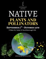 Native Plants & Pollinators Exhibit flyer