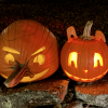 Pumpkin Stroll 2025 (photo by Beth Melo)