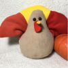 Sew Studio - example of Plush Turkey students will create (from Rec registration page)