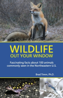 Wildlife Out Your Window
