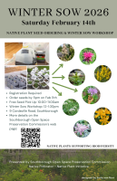 WS Workshop 2026 flyer