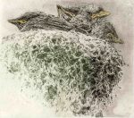 "About Gone" by J Ann Eldridge (image promoted by SHAC as part of the exhibit "The Nature of Whimsy: The Magical Etchings of J. Ann Eldgridge")