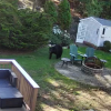 Bear on Middle Road morning of May 12 (screenshot from video from Stephanie Wilson)