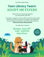 TLT adopt me flyer