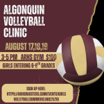 ARHS Volleyball Clinic flyer