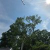 FF William Kipp preparing to rescue tree worker from SFD Facebook (zoomed out)