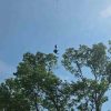 FF William Kipp preparing to rescue tree worker from SFD Facebook (cropped closer)