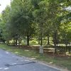 Cundiff's photo of Cordaville Park on July 13, 2026