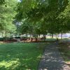 Cordaville Park lawn issues highlighted in photos by John Kendall