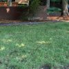 Cordaville Park lawn issues highlighted in photos by John Kendall