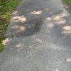 John Kendall's photos of "tripping hazards" in Cordaville Park