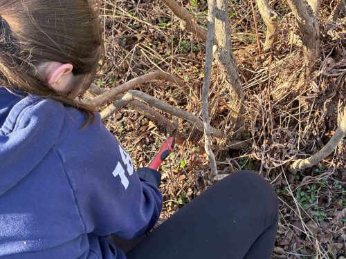 Katie using a pruning saw (contributed photo)