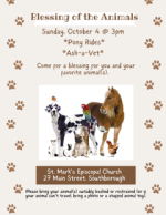 blessing the animals