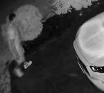 Image posted of suspect (SPD Facebook)