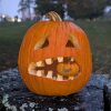 Pumpkin Stroll 2026 (photo posted to Facebook by Southborough Rotary)