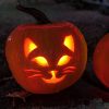 Pumpkin Stroll 2026 (photo posted to Facebook by Southborough Rotary)