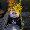 Pumpkin Stroll 2026 (photo posted to Facebook by Southborough Rotary)