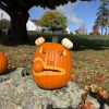 Pumpkin Stroll (image cropped from photo contributed by Angela Varner) 