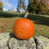 Pumpkin Stroll (image cropped from photo contributed by Angela Varner) 