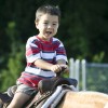 One of the most popular attractions is the free pony rides (by Susan Fitzgerald)